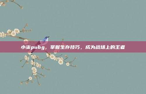 小柒pubg,掌握生存技巧,成为战场上的王者-第1张图片-速奇网 小柒pubg,掌握生存技巧,成为战场上的王者-第1张图片-速奇网