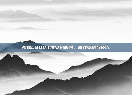 揭秘CSGO土匪安包密码,高效策略与技巧-第1张图片-速奇网 揭秘CSGO土匪安包密码,高效策略与技巧-第1张图片-速奇网