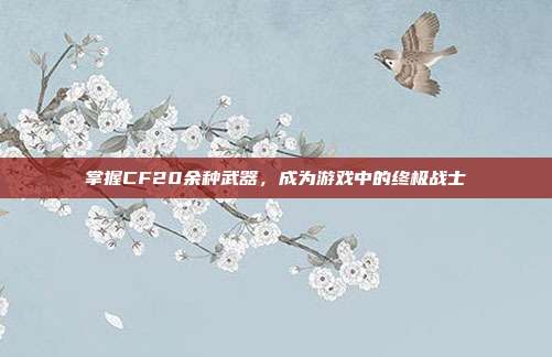 掌握CF20余种武器,成为游戏中的终极战士-第1张图片-速奇网 掌握CF20余种武器,成为游戏中的终极战士-第1张图片-速奇网