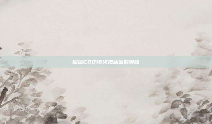 探秘COD16火把蓝图的奥秘-第1张图片-速奇网
