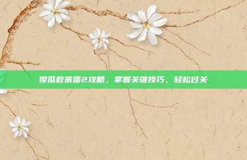 傻瓜救笨蛋2攻略，掌握关键技巧，轻松过关-第1张图片-速奇网