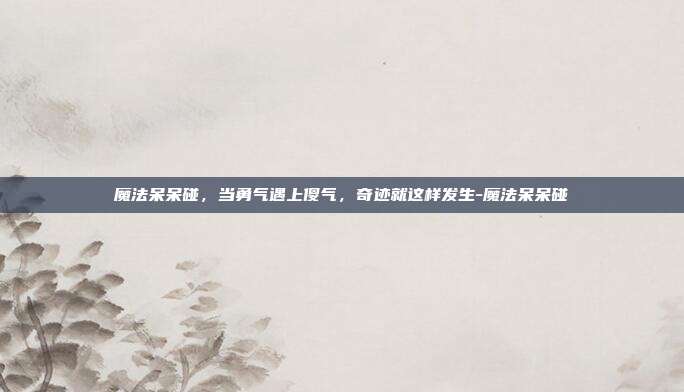 魔法呆呆碰，当勇气遇上傻气，奇迹就这样发生-魔法呆呆碰-第1张图片-速奇网