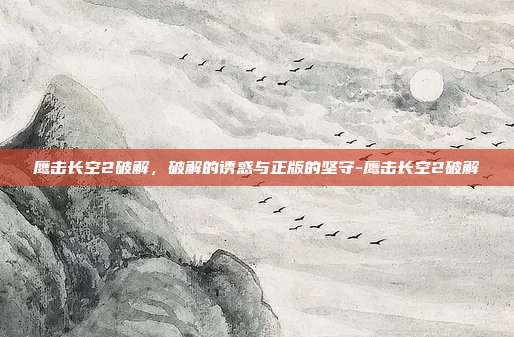鹰击长空2破解,破解的诱惑与正版的坚守-鹰击长空2破解-第1张图片-速奇网 鹰击长空2破解,破解的诱惑与正版的坚守-鹰击长空2破解-第1张图片-速奇网