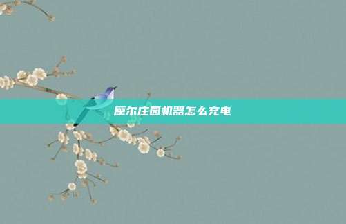 摩尔庄园机器怎么充电-第1张图片-速奇网 摩尔庄园机器怎么充电-第1张图片-速奇网