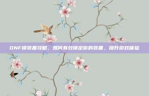 DNF锁装备攻略，如何有效锁定你的装备，提升游戏体验-第1张图片-速奇网