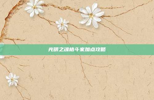 光明之魂格斗家加点攻略-第1张图片-速奇网 光明之魂格斗家加点攻略-第1张图片-速奇网
