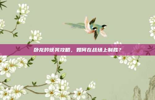 卧龙吟徐晃攻略,如何在战场上制胜?-第1张图片-速奇网 卧龙吟徐晃攻略,如何在战场上制胜?-第1张图片-速奇网