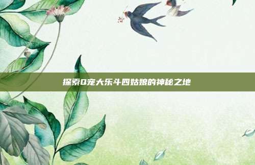 探索Q宠大乐斗四姑娘的神秘之地-第1张图片-速奇网