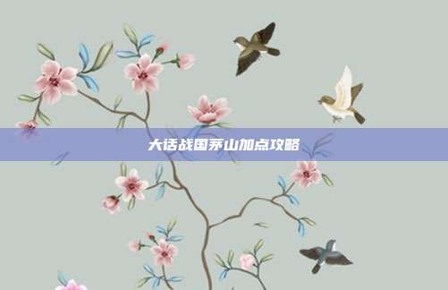 大话战国茅山加点攻略-第1张图片-速奇网 大话战国茅山加点攻略-第1张图片-速奇网