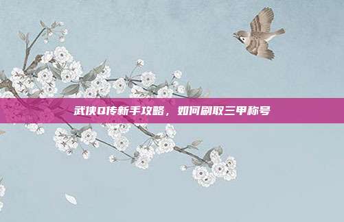 武侠Q传新手攻略,如何刷取三甲称号-第1张图片-速奇网 武侠Q传新手攻略,如何刷取三甲称号-第1张图片-速奇网
