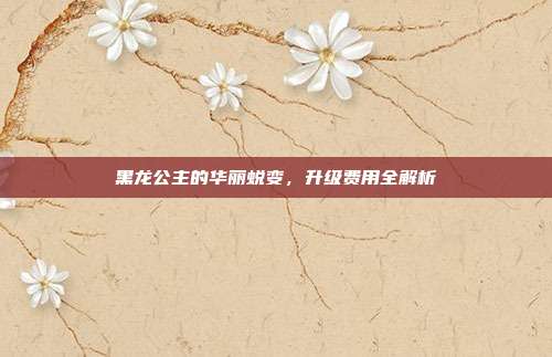 黑龙公主的华丽蜕变,升级费用全解析-第1张图片-速奇网 黑龙公主的华丽蜕变,升级费用全解析-第1张图片-速奇网