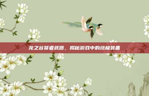 龙之谷贤者武器，揭秘游戏中的终极装备-第1张图片-速奇网