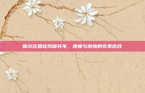 摩尔庄园旋风摩托车,速度与激情的完美结合-第1张图片-速奇网 摩尔庄园旋风摩托车,速度与激情的完美结合-第1张图片-速奇网