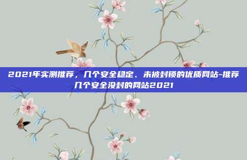 2021年实测推荐，几个安全稳定、未被封锁的优质网站-推荐几个安全没封的网站2021-第1张图片-速奇网