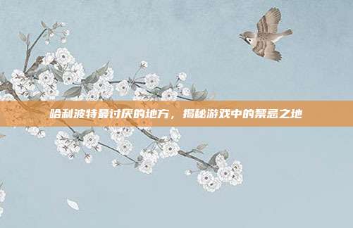 哈利波特最讨厌的地方,揭秘游戏中的禁忌之地-第1张图片-速奇网 哈利波特最讨厌的地方,揭秘游戏中的禁忌之地-第1张图片-速奇网
