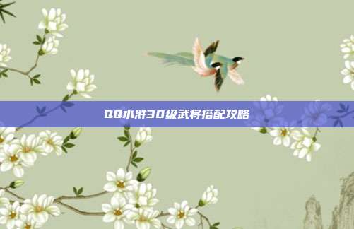 QQ水浒30级武将搭配攻略-第1张图片-速奇网 QQ水浒30级武将搭配攻略-第1张图片-速奇网