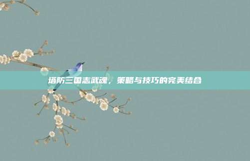 塔防三国志武魂,策略与技巧的完美结合-第1张图片-速奇网 塔防三国志武魂,策略与技巧的完美结合-第1张图片-速奇网