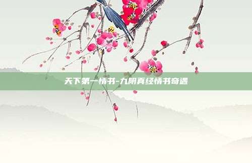 天下第一情书-九阴真经情书奇遇-第1张图片-速奇网