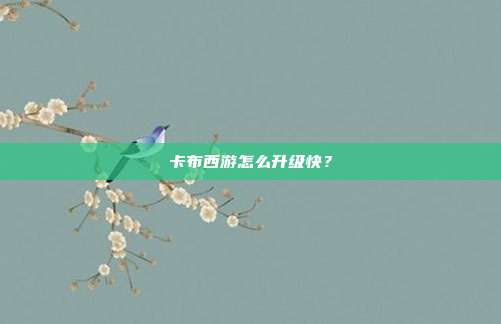 卡布西游怎么升级快?-第1张图片-速奇网 卡布西游怎么升级快?-第1张图片-速奇网