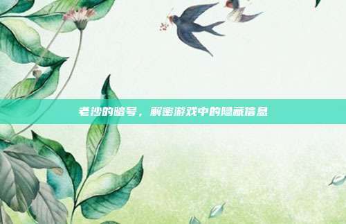 老沙的暗号，解密游戏中的隐藏信息-第1张图片-速奇网