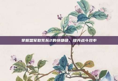 掌握盟军敢死队2的快捷键,提升战斗效率-第1张图片-速奇网 掌握盟军敢死队2的快捷键,提升战斗效率-第1张图片-速奇网