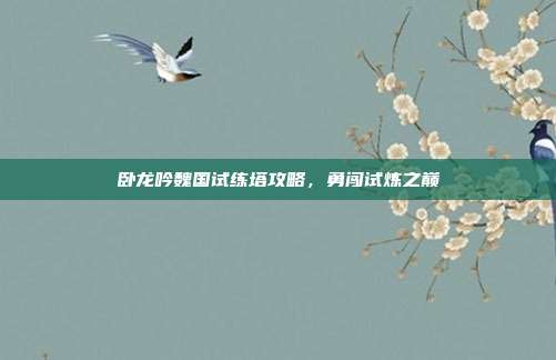卧龙吟魏国试练塔攻略,勇闯试炼之巅-第1张图片-速奇网 卧龙吟魏国试练塔攻略,勇闯试炼之巅-第1张图片-速奇网