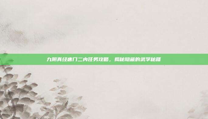 九阴真经唐门二内任务攻略，揭秘隐藏的武学秘籍-第1张图片-速奇网
