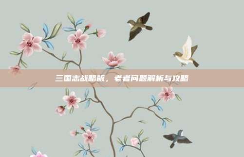三国志战略版,老者问题解析与攻略-第1张图片-速奇网 三国志战略版,老者问题解析与攻略-第1张图片-速奇网