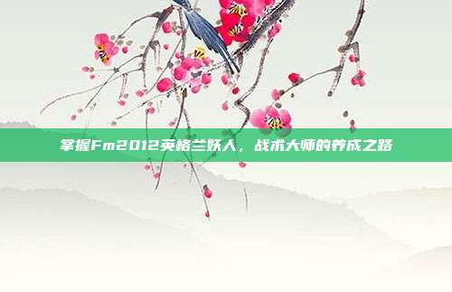 掌握Fm2012英格兰妖人，战术大师的养成之路-第1张图片-速奇网