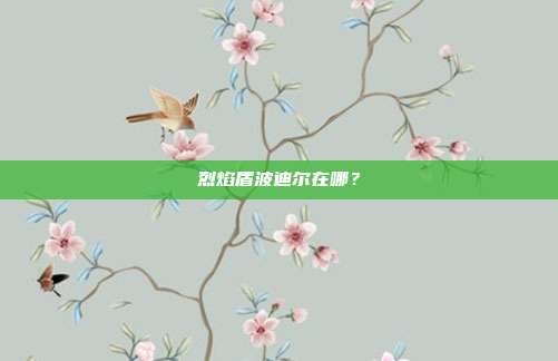 烈焰盾波迪尔在哪?-第1张图片-速奇网 烈焰盾波迪尔在哪?-第1张图片-速奇网