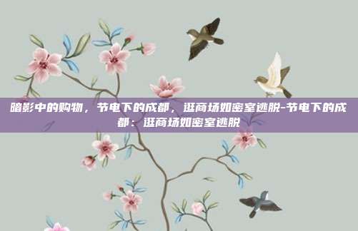 暗影中的购物，节电下的成都，逛商场如密室逃脱-节电下的成都：逛商场如密室逃脱-第1张图片-速奇网