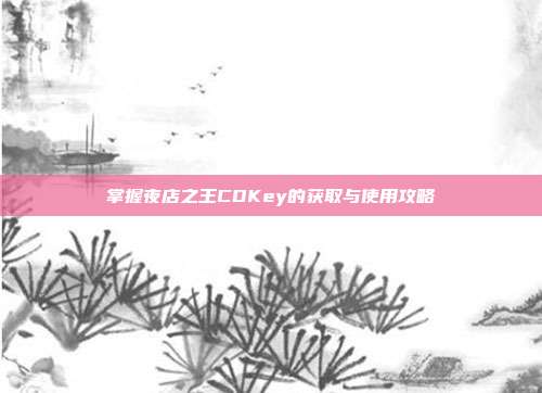 掌握夜店之王CDKey的获取与使用攻略-第1张图片-速奇网