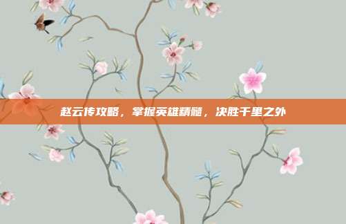 赵云传攻略,掌握英雄精髓,决胜千里之外-第1张图片-速奇网 赵云传攻略,掌握英雄精髓,决胜千里之外-第1张图片-速奇网