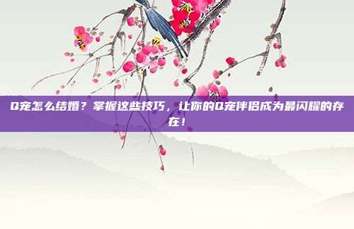 Q宠怎么结婚?掌握这些技巧,让你的Q宠伴侣成为最闪耀的存在!-第1张图片-速奇网 Q宠怎么结婚?掌握这些技巧,让你的Q宠伴侣成为最闪耀的存在!-第1张图片-速奇网
