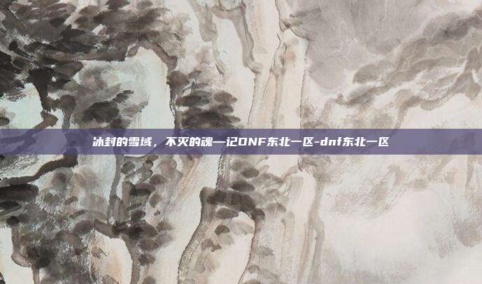 冰封的雪域，不灭的魂—记DNF东北一区-dnf东北一区-第1张图片-速奇网