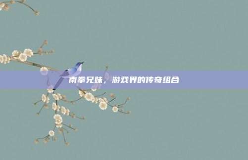 南拳兄妹,游戏界的传奇组合-第1张图片-速奇网 南拳兄妹,游戏界的传奇组合-第1张图片-速奇网