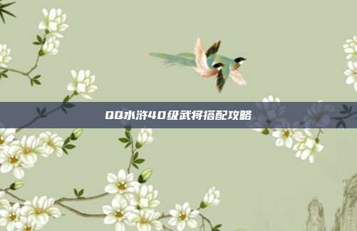 QQ水浒40级武将搭配攻略-第1张图片-速奇网 QQ水浒40级武将搭配攻略-第1张图片-速奇网