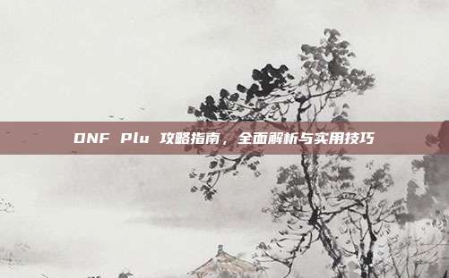 DNF Plu 攻略指南,全面解析与实用技巧-第1张图片-速奇网 DNF Plu 攻略指南,全面解析与实用技巧-第1张图片-速奇网
