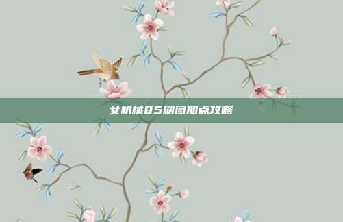 女机械85刷图加点攻略-第1张图片-速奇网 女机械85刷图加点攻略-第1张图片-速奇网