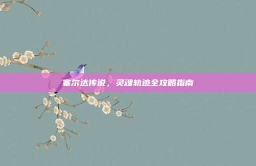 塞尔达传说,灵魂轨迹全攻略指南-第1张图片-速奇网 塞尔达传说,灵魂轨迹全攻略指南-第1张图片-速奇网