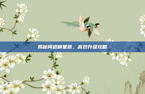 揭秘问道刷星器，高效升级攻略-第1张图片-速奇网
