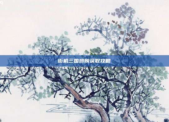 街机三国翅膀获取攻略-第1张图片-速奇网 街机三国翅膀获取攻略-第1张图片-速奇网