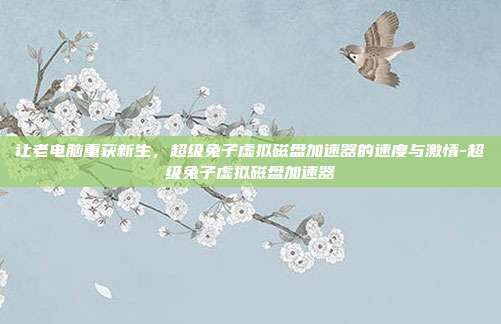 让老电脑重获新生,超级兔子虚拟磁盘加速器的速度与激情-超级兔子虚拟磁盘加速器-第1张图片-速奇网 让老电脑重获新生,超级兔子虚拟磁盘加速器的速度与激情-超级兔子虚拟磁盘加速器-第1张图片-速奇网