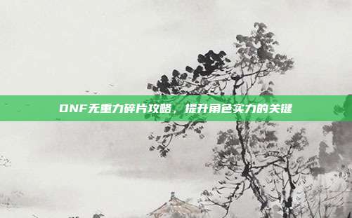 DNF无重力碎片攻略,提升角色实力的关键-第1张图片-速奇网 DNF无重力碎片攻略,提升角色实力的关键-第1张图片-速奇网