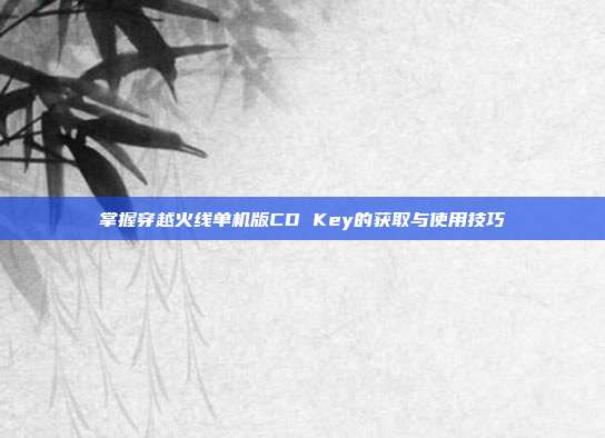 掌握穿越火线单机版CD Key的获取与使用技巧-第1张图片-速奇网 掌握穿越火线单机版CD Key的获取与使用技巧-第1张图片-速奇网