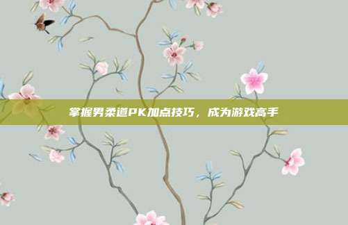 掌握男柔道PK加点技巧,成为游戏高手-第1张图片-速奇网 掌握男柔道PK加点技巧,成为游戏高手-第1张图片-速奇网