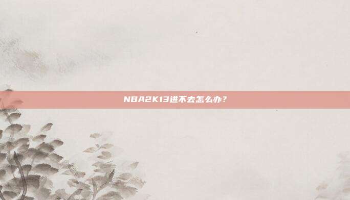 NBA2K13进不去怎么办?-第1张图片-速奇网 NBA2K13进不去怎么办?-第1张图片-速奇网
