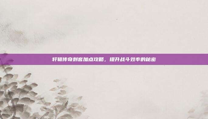 轩辕传奇刺客加点攻略，提升战斗效率的秘密-第1张图片-速奇网