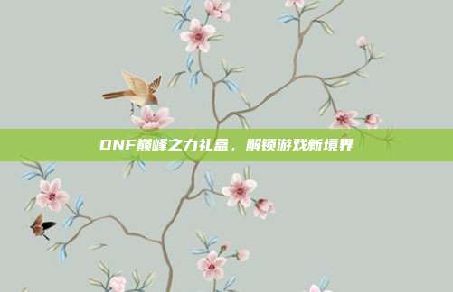 DNF巅峰之力礼盒，解锁游戏新境界-第1张图片-速奇网