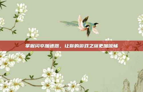 掌握闪卒加速器，让你的游戏之旅更加流畅-第1张图片-速奇网